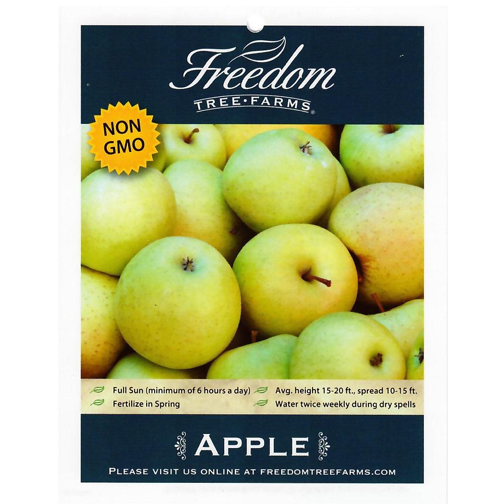 Freedom Tree Farms Golden Delicious Apple, 7 Gallon