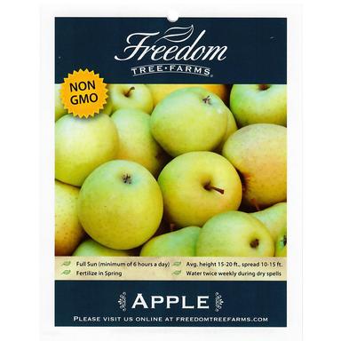 Freedom Tree Farms Golden Delicious Apple, 7 Gallon