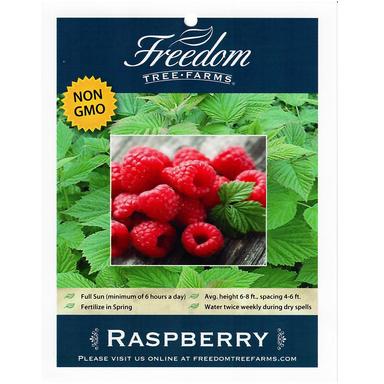 Freedom Tree Farms Heritage Raspberry, 1 Gallon