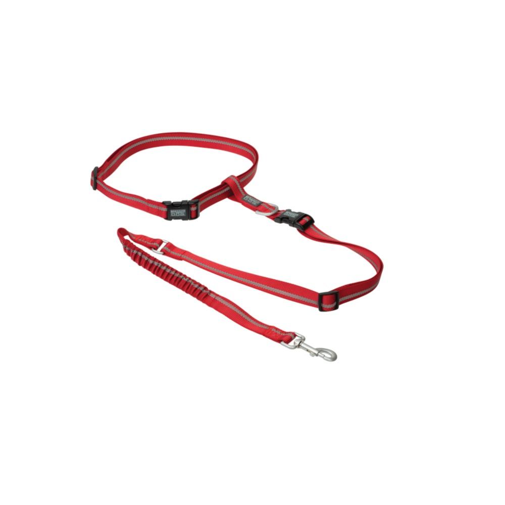 Cleveland Guardians Dog Collar or Leash – 3 Red Rovers