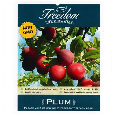 Freedom Tree Farms Au Rosa Plum, 5 Gallon